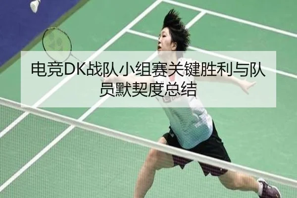 电竞DK战队小组赛关键胜利与队员默契度总结（HEJI SPORTS）